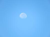 Mond