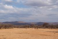 Mount Etjo Lodge 