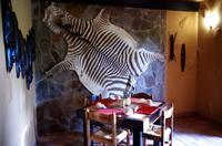 Mount Etjo Lodge