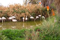 Mount Etjo Lodge