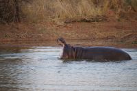 Mount Etjo Safari Lodge - Happy Hippo