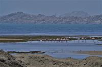 Namibia - Buchtenfahrt bei Lüderitz