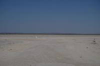 Namibia - Etosha Nationalpark - das weiße Nichts