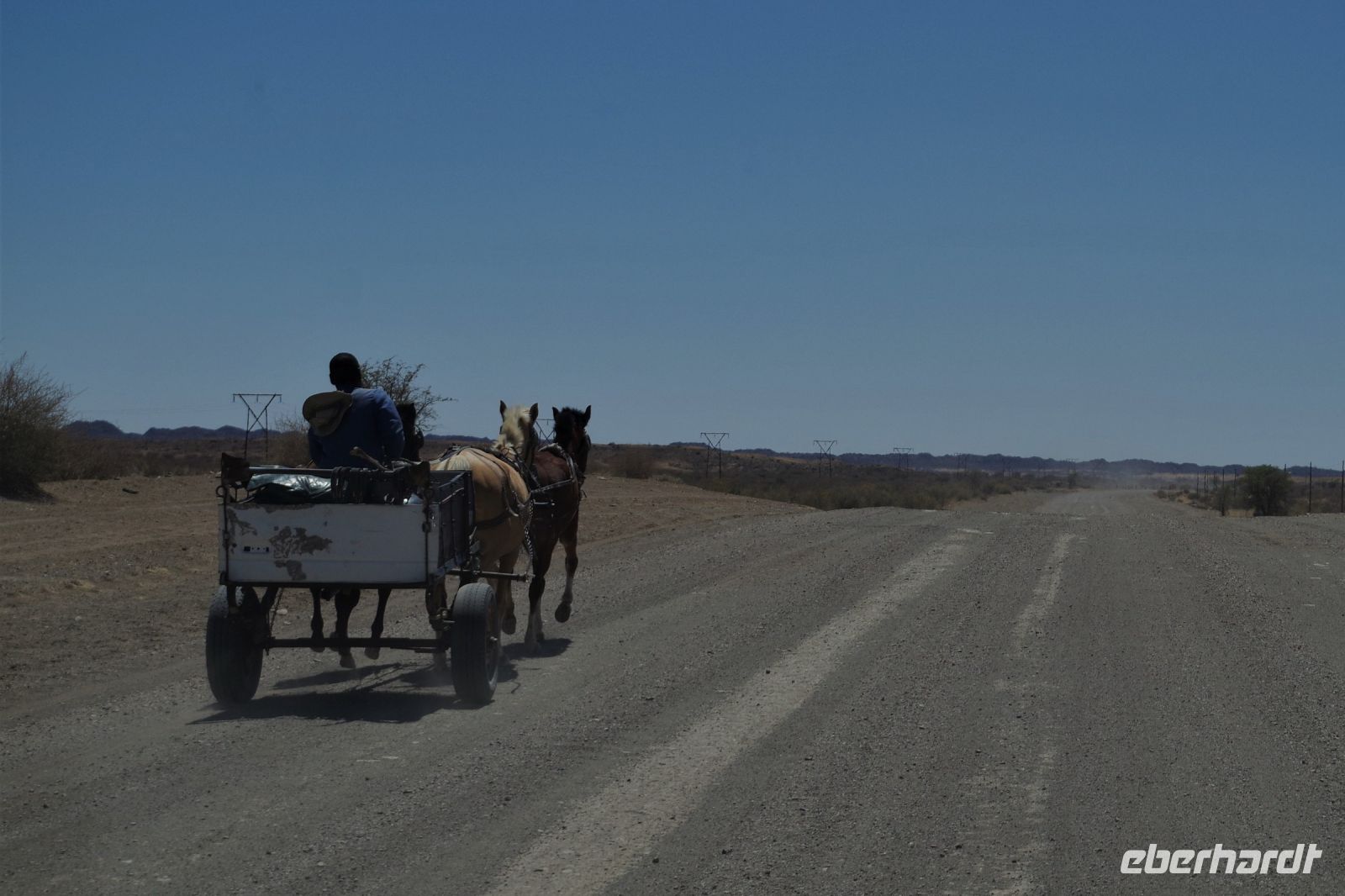 Namibia - Kalahari Ferrari