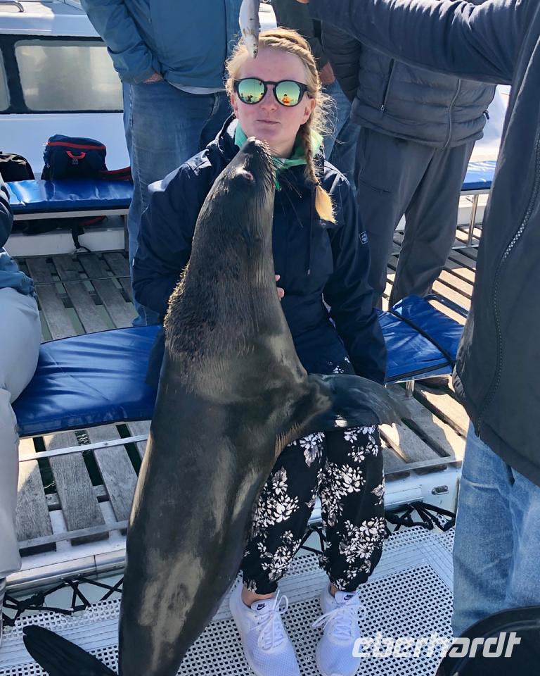 Namibia - Katamarnfahrt in Walvis Bay