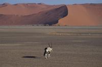 Namibia - Klischee