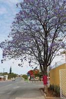 Namibia - Outjo