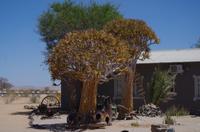 Namibia - Unterwegs