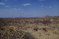 Namibia - Unterwegs