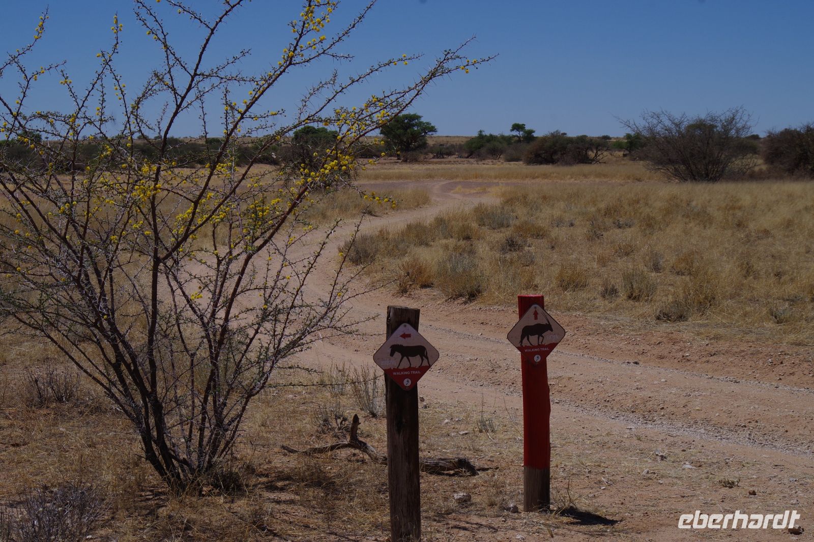Namibia - Wanderung im Gondwana Kalahari Park
