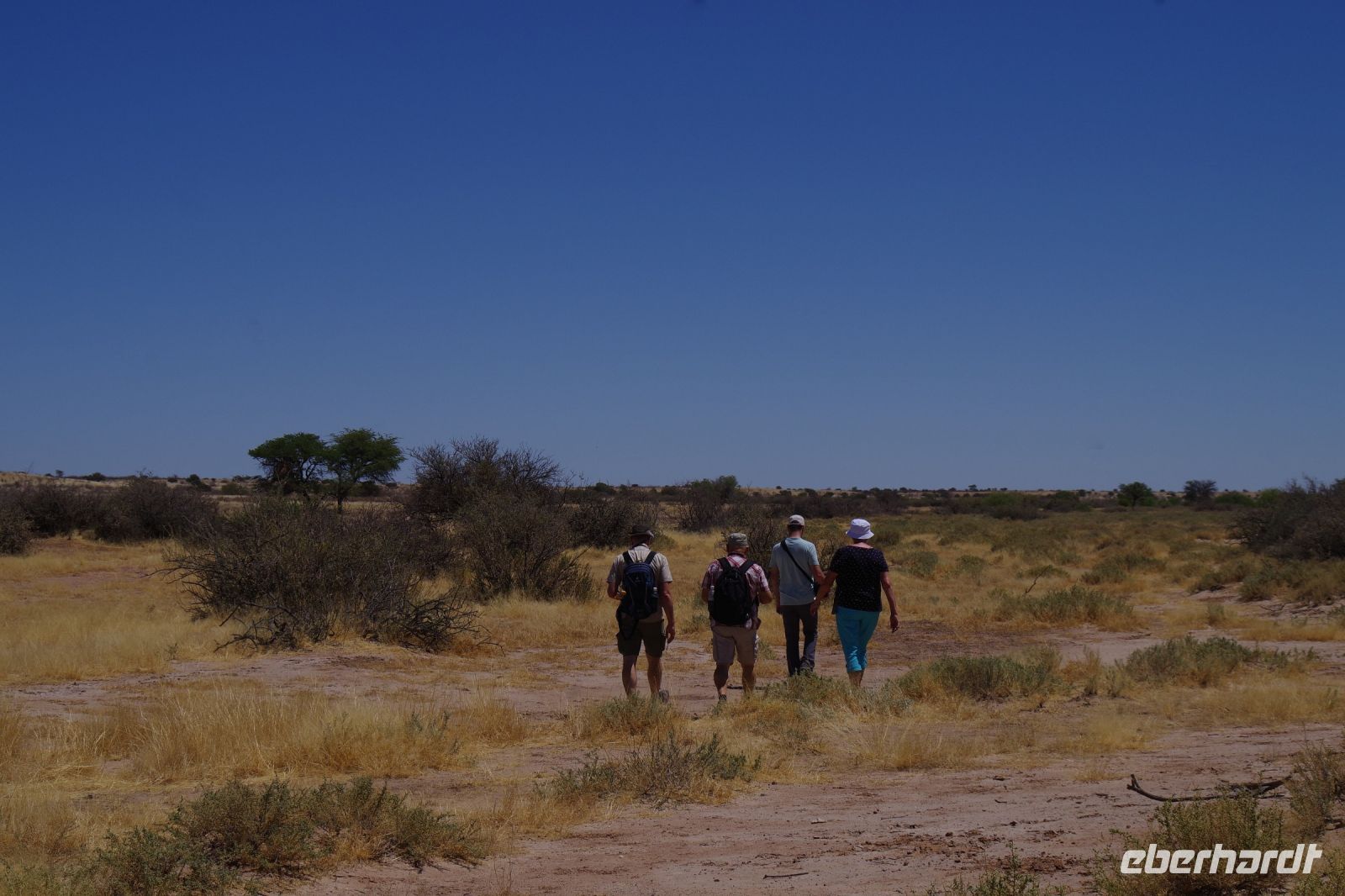 Namibia - Wanderung im Gondwana Kalahari Park