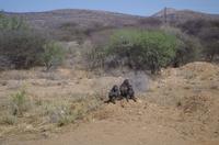 Namibia - auf Pad 