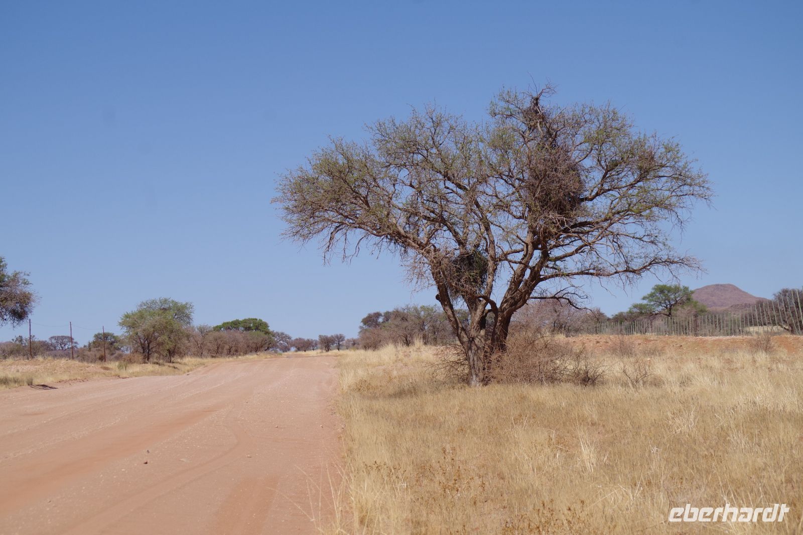 Namibia - auf Pad
