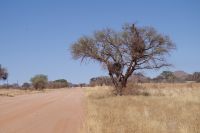 Namibia - auf Pad