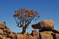 Namibia -Spielplatz der Riesen