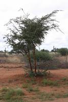 Namibia