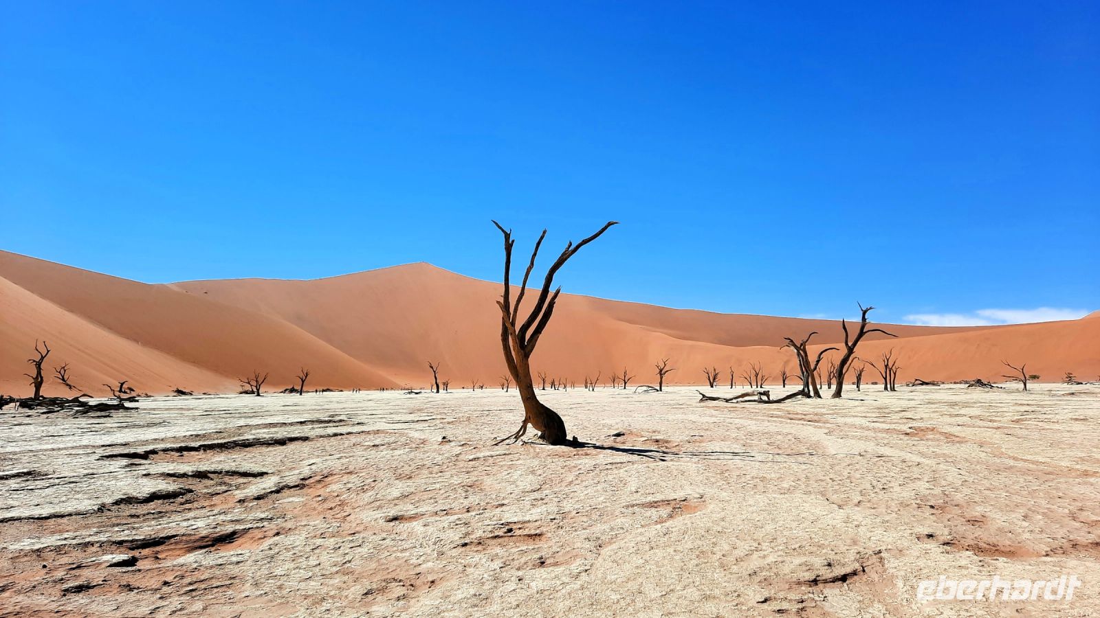 Nationalpark Sossusvlei - Dead Vlei