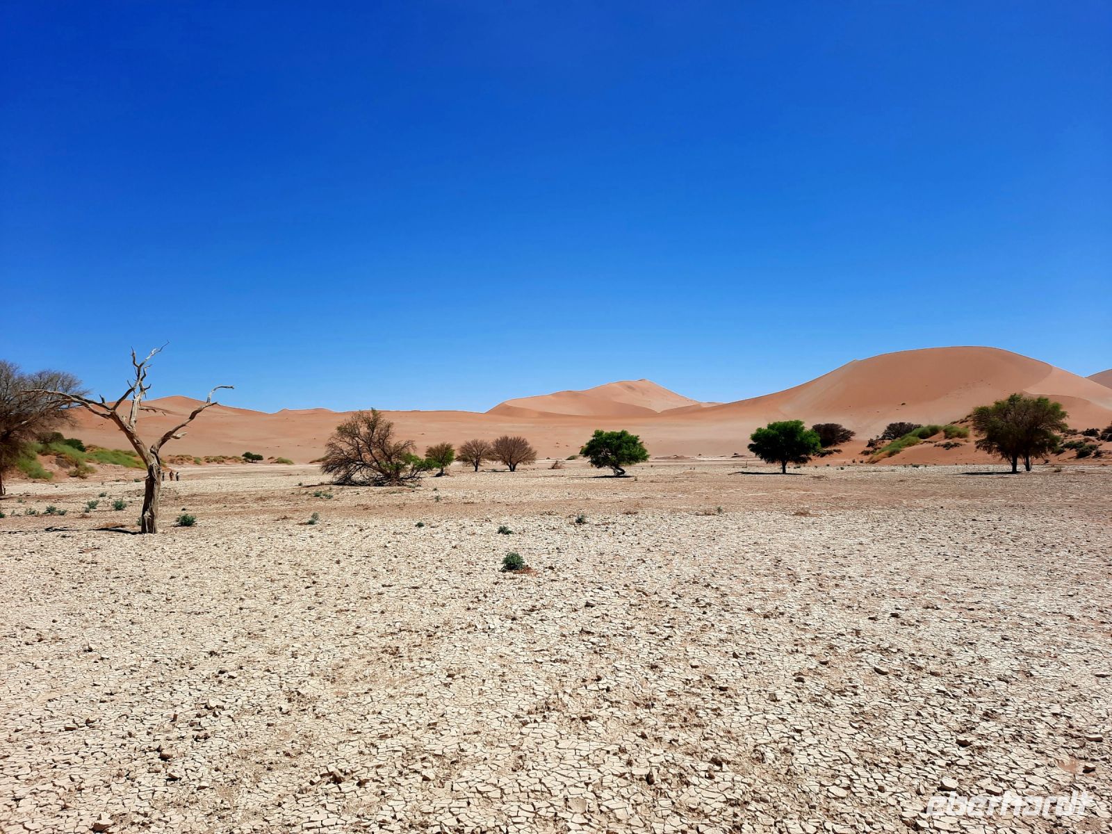 Nationalpark Sossusvlei - Sossusvlei Lehmsenke