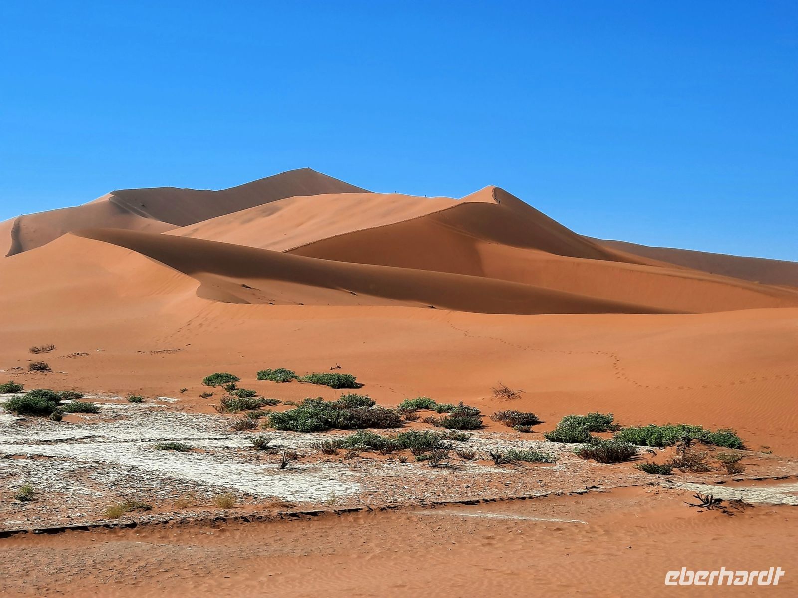 Nationalpark Sossusvlei - rote Dünen & weiße Lehmsenken