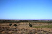 Oase in Namibia