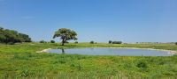Okaukuejo Wasserloch
