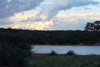Pirschfahrt in der Kalahari Wüste
