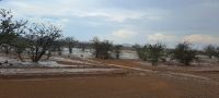 Regen in Damaraland