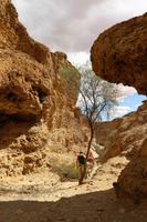 Sesriem Canyon