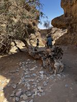 Sesriem Canyon
