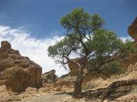Sesriem Canyon