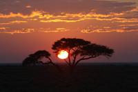 Sonnenaufgang im Etosha