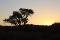 Sonnenuntergang im Naukluft-Nationalpark