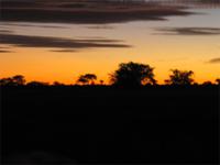 Sonnenuntergang in der Kalahari