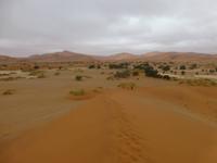 Sossusvlei