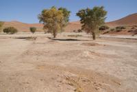Sossusvlei