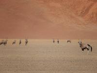 Sossusvlei