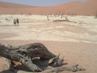 Spaziergang durchs Death Vlei
