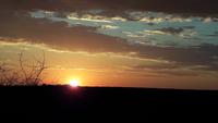 Sundowner bei Heinz