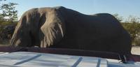 Tage Rundreise Namibia – Die Erlebnistour mit  Kalahari – Fish River-Canyon – Lüderitz – Namib – Swakopmund – Erongo Gebirge – Etosha Nationalpark – Windhoek (1402)