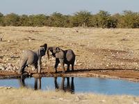 Tage Rundreise Namibia – Die Erlebnistour mit  Kalahari – Fish River-Canyon – Lüderitz – Namib – Swakopmund – Erongo Gebirge – Etosha Nationalpark – Windhoek (1475)