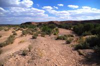 Trockner Fish River