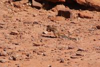 Twyfelfontein 