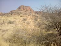 Typische Landschaft