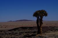 Unterwegs in Namibia