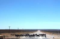 Unterwegs in Namibia