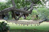 Uris Safari Lodge