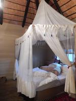 Uris Safari Lodge