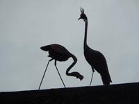 Uris Safari Lodge