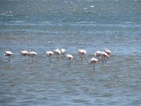 Walfisch Bay