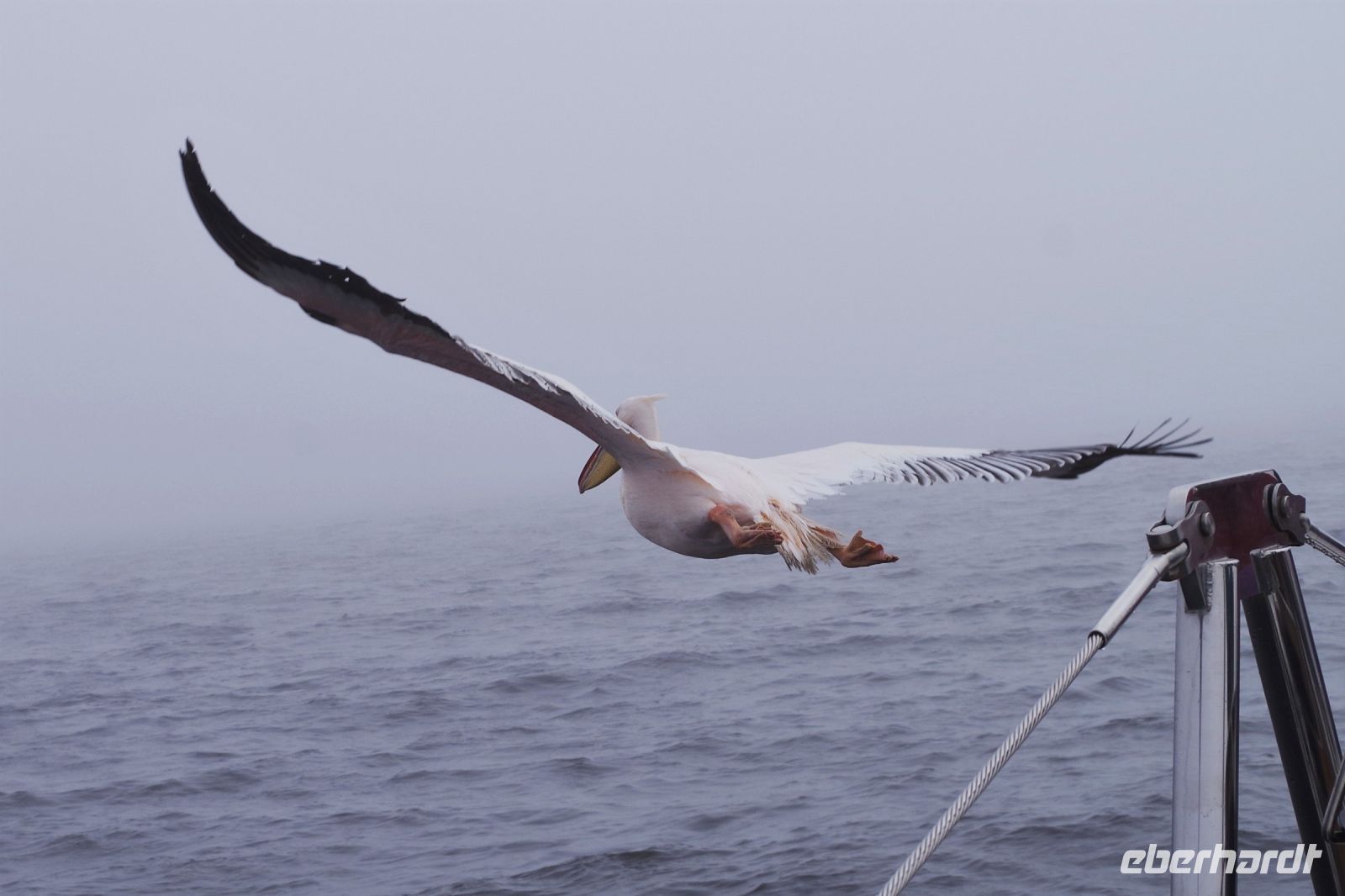 Walvis Bay - Bootstour durch die Lagune